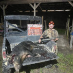 Wild Hog Hunting with Pure Adrenaline Outfitters