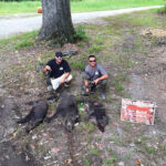 Pure Adrenaline Outfitters - Hog Hunting in NC