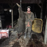 Pure Adrenaline Outfitters - Hog Hunting in NC