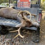 Pure Adrenaline Outfitters - Deer Hunting in NC