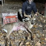 Pure Adrenaline Outfitters - Deer Hunting in NC